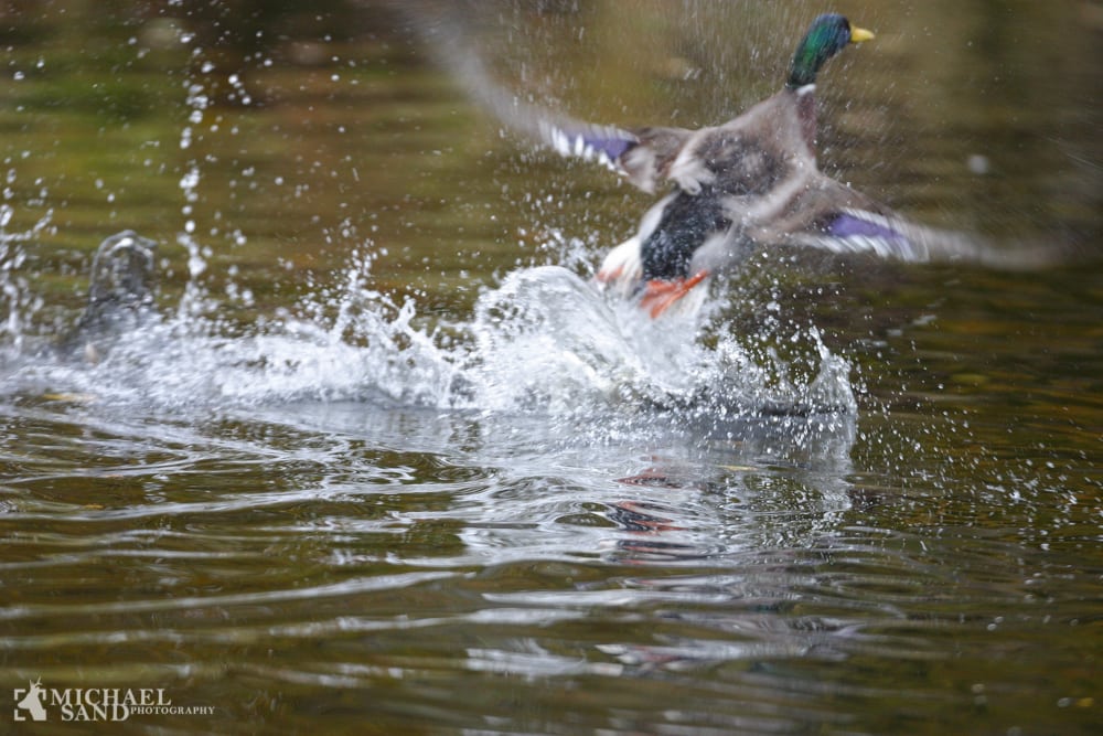 Haglnedfald på bebygget område