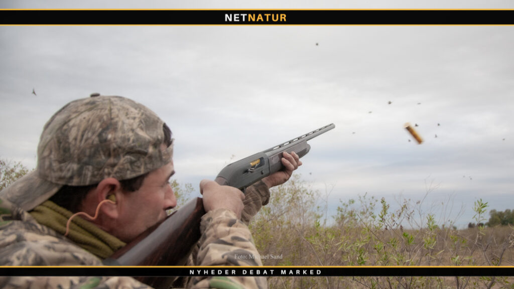 EU diskuterer forbud mod halvautomatiske rifler og -haglvåben Halvautomatisk haglbøsse