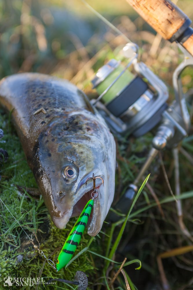 Skal put and take-søer nu forbydes?
