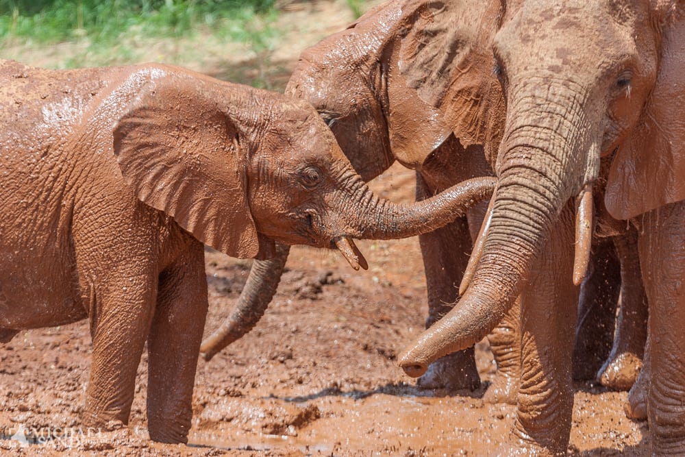 To krybskytter anholdt i Kruger National Park