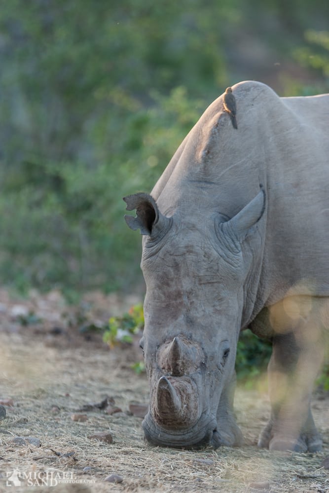 Krybskytter bliver stadigt mere avancerede