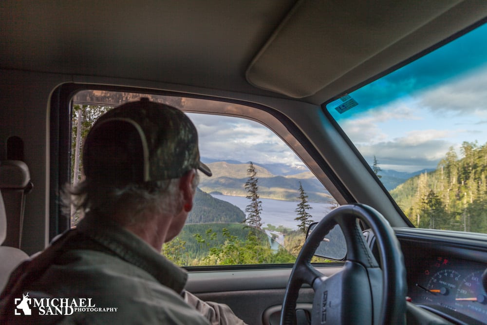 Svenskerne diskuterer nu jagt på vildsvin fra biler