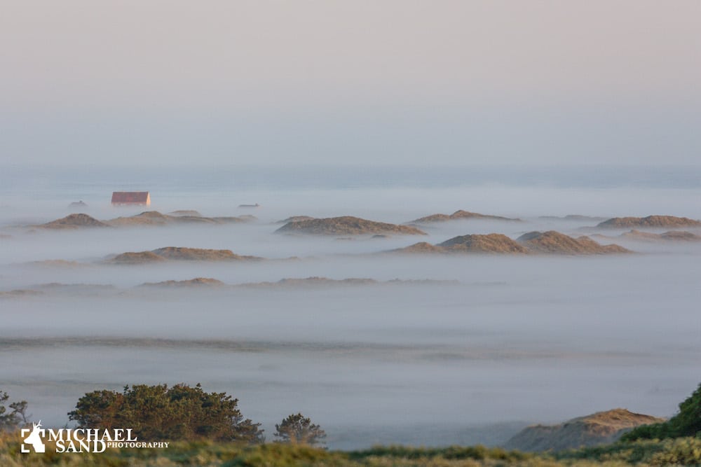 Repræsentantskabsmøde i DJ ugyldig hævder kritiker