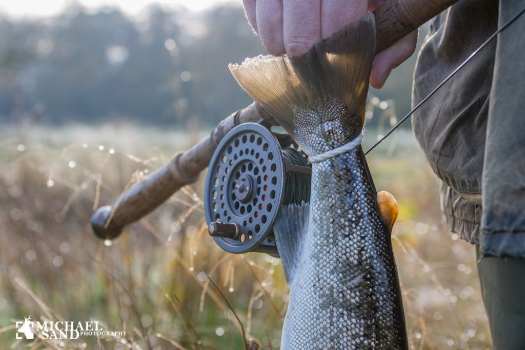 Løft til lystfiskeriet og turismen Lystfiskeri og fisketegn i Danmark