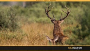 Citerede Ph.d'ere: Vi har aldrig sagt, at forklaringsgraden er 92 %