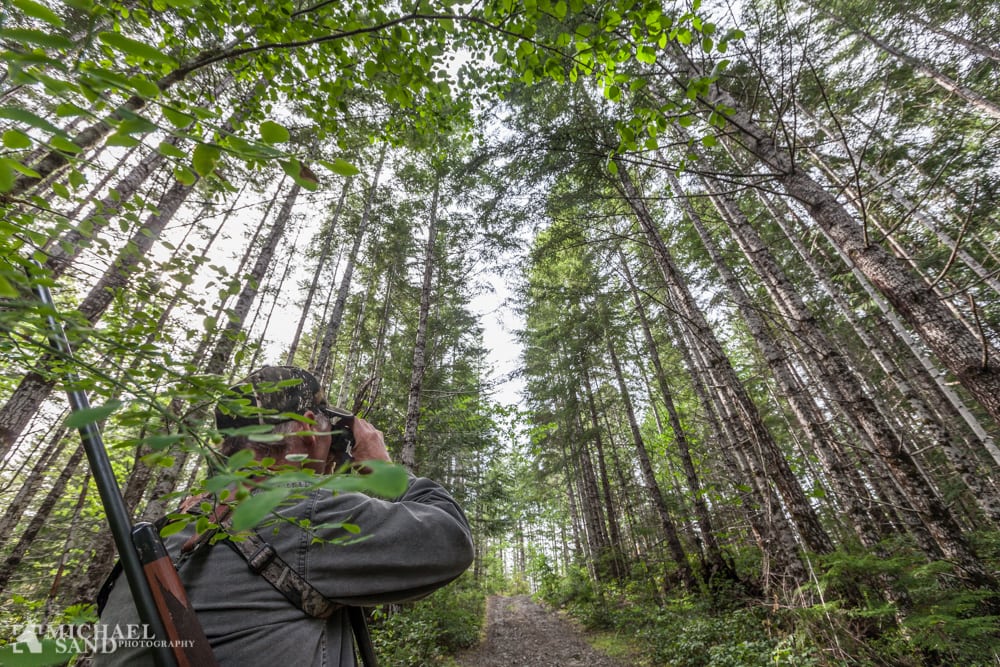 Jorden rundt i 80 træer