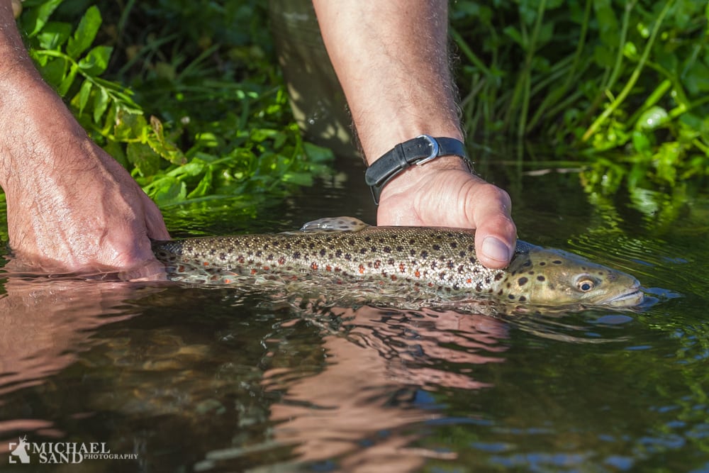 Ørredkortet opdateret