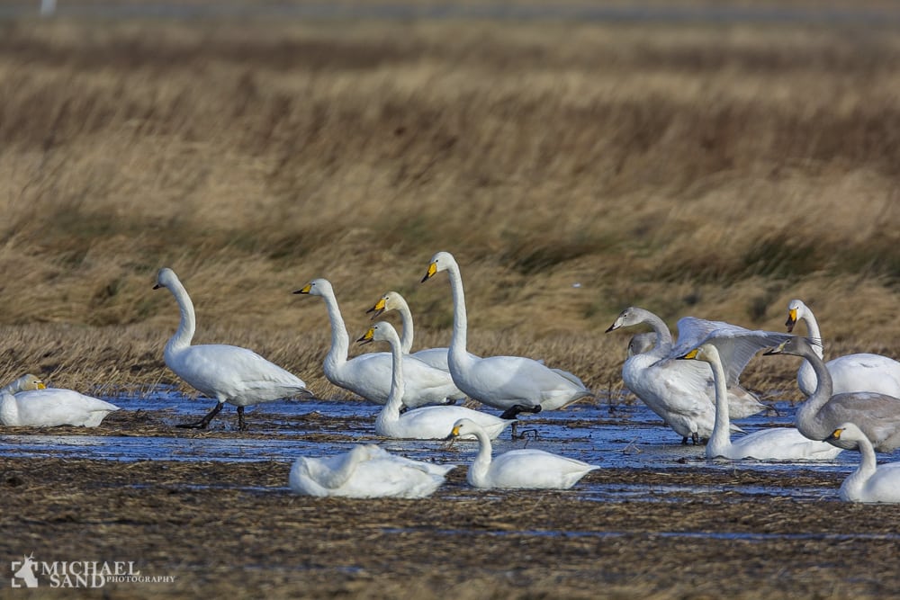 Elledninger skal nedgraves Elledninger skal nedgraves