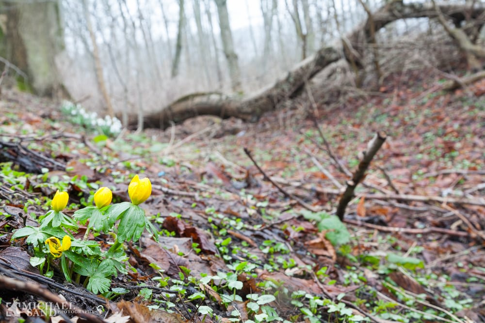 Naturindex i danske kommuner