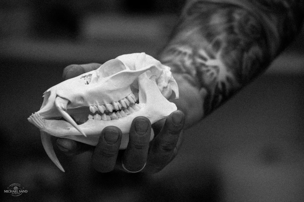 Konservator på arbejde - en fotofortælling i sort og hvidt