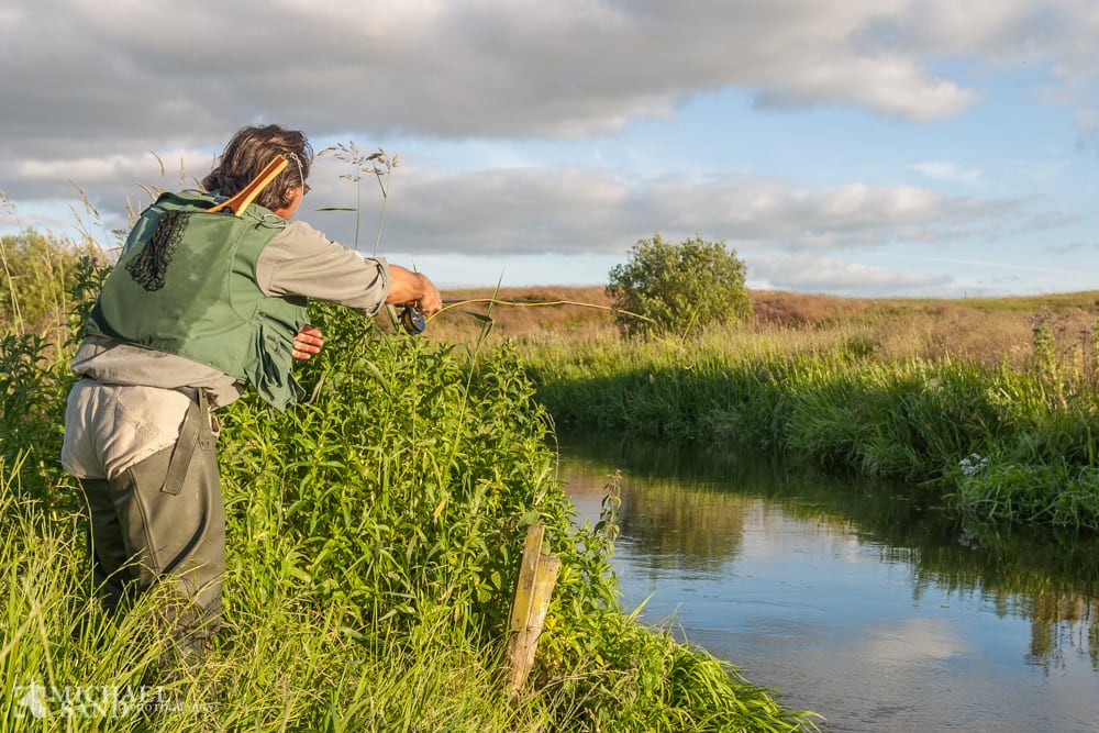 Danmarks vandløb får 700 mio. kroner Nej til mere grødeskæring i Simested Å