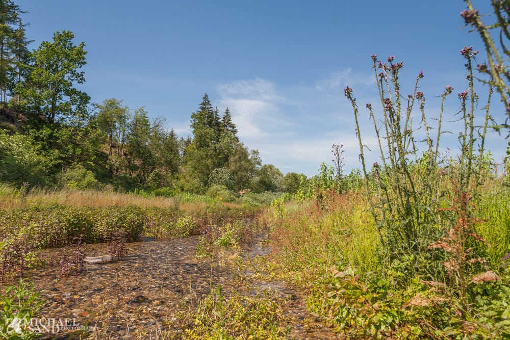 De sjældne naturtyper har det dårligt De sjældne naturtyper har det dårligt