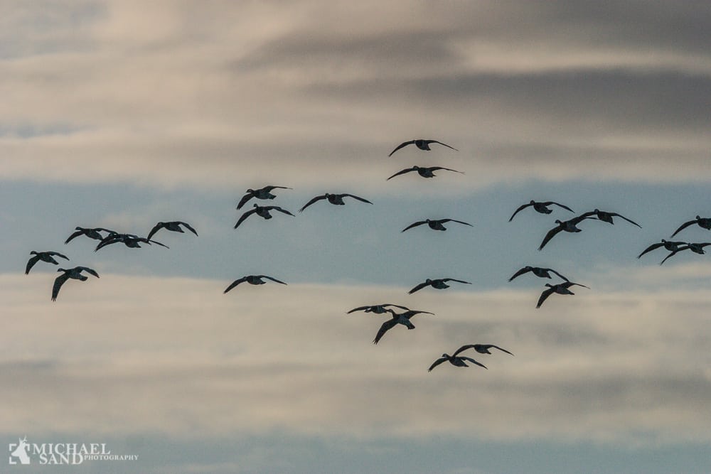 Nu kommer der øget kontrol med regulering
