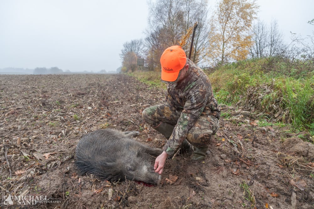 Vildsvinejagt med automatvåben