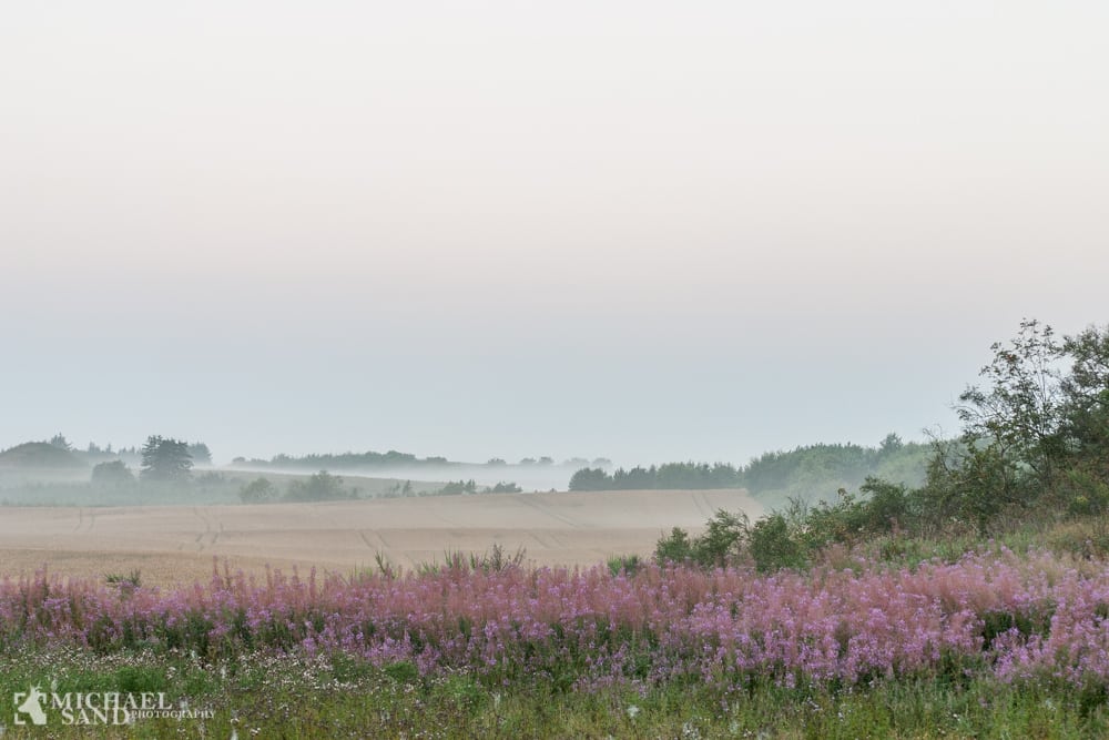 Giftfri zoner omkring vandboringer på vej 090804 3