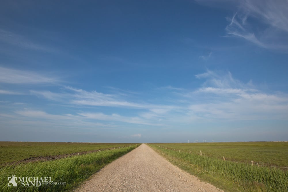 På fuglekig i Margrethe Kog