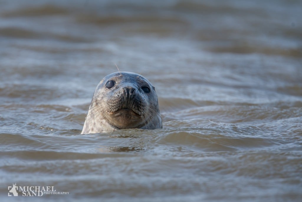 DLS: Ikke flere hokuspokus tiltag DLS: Ikke flere hokuspokus tiltag