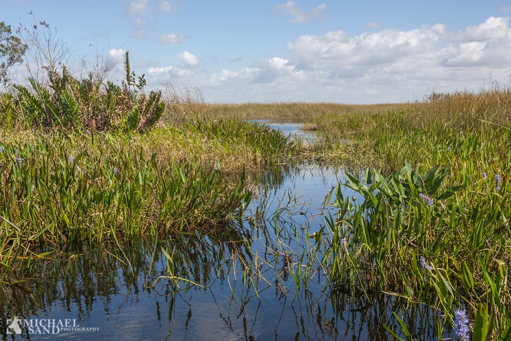 Værebro Ådal netop fredet