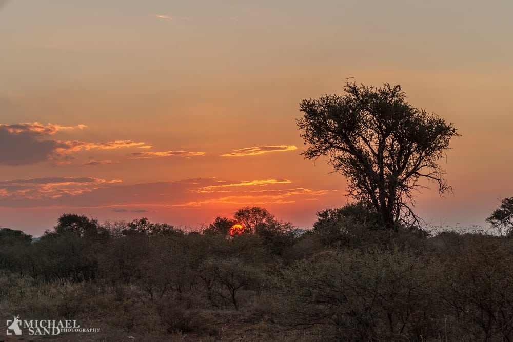 Sydafrika: Fire rangers arresteret
