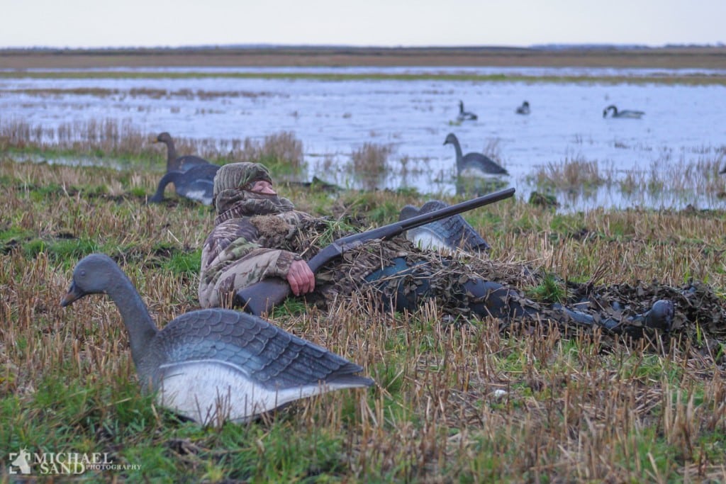 DLS siger nej til adaptiv vildtforvaltning 11-3011