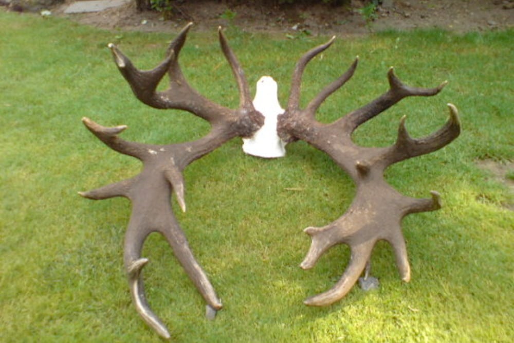 Tyskland: Vorpommern-Giganten