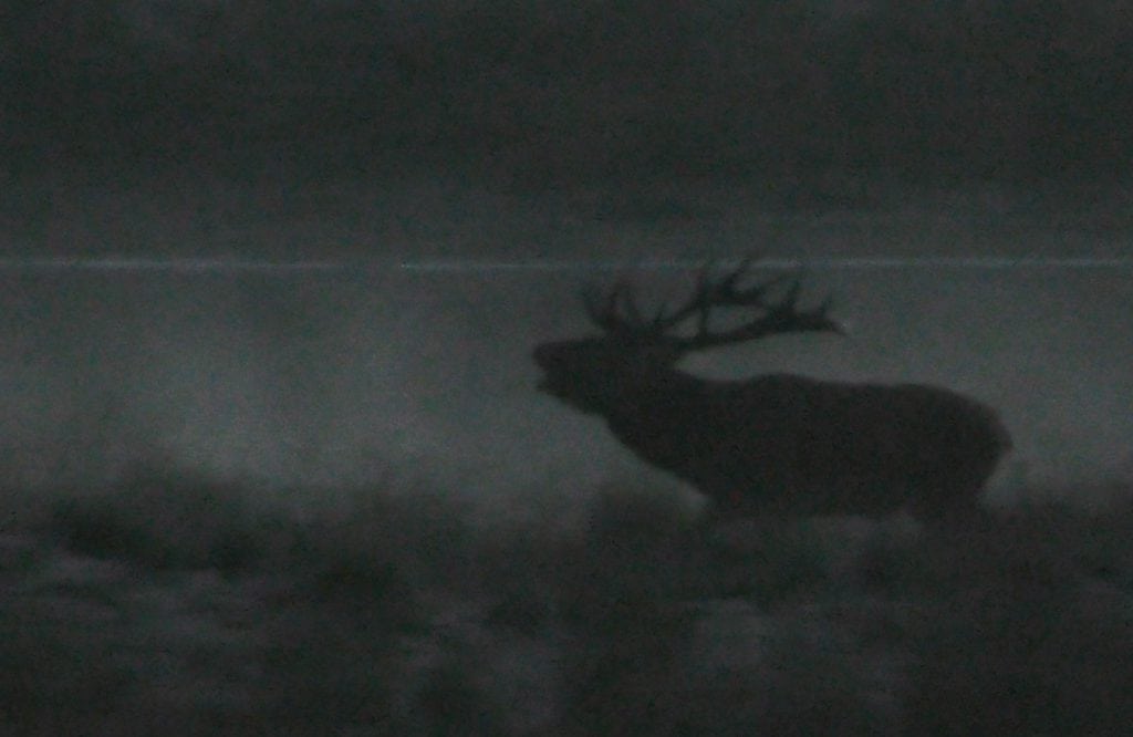 DNH’s hjorteplan – det faglige grundlag (C)