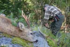 Hygiejnekursus for jægere