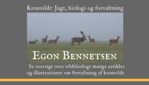 40 artikler fra Egon Bennetsen