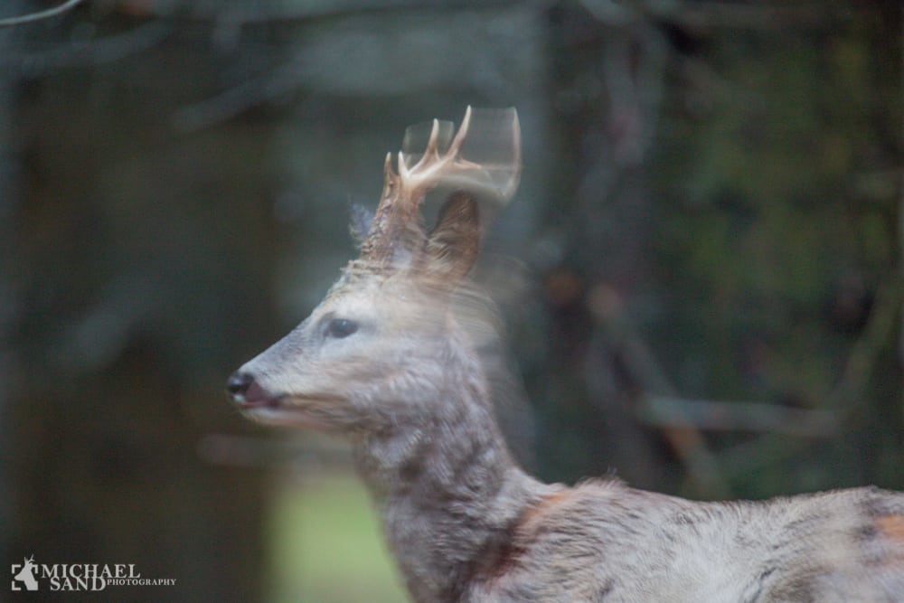 Stor utilfredshed med nye CIC retningslinier MG 0270