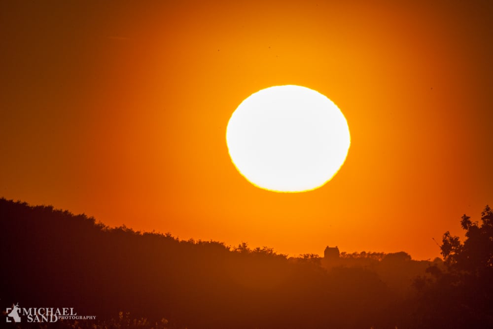 Bjergene ved Stensballe i Horsens skal fredes P2A0563