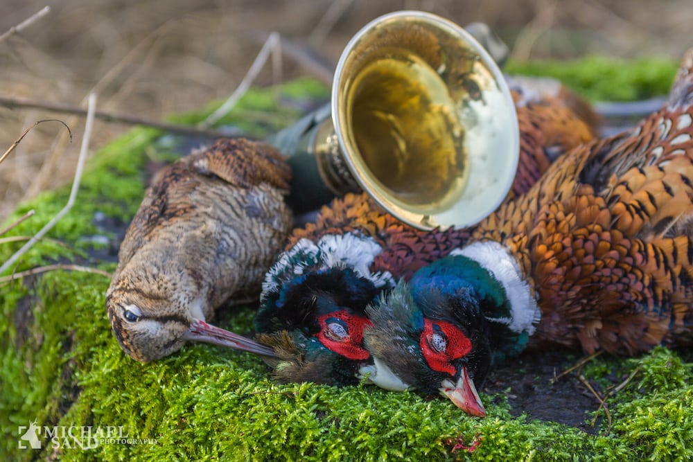 Efterspørger forskningsbaseret udsætningsdebat P2A3871