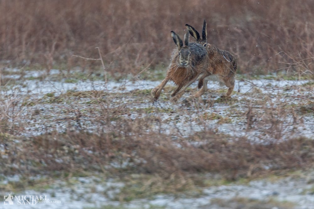 Kommuner afleverer forslag til ny nationalpark P2A5428