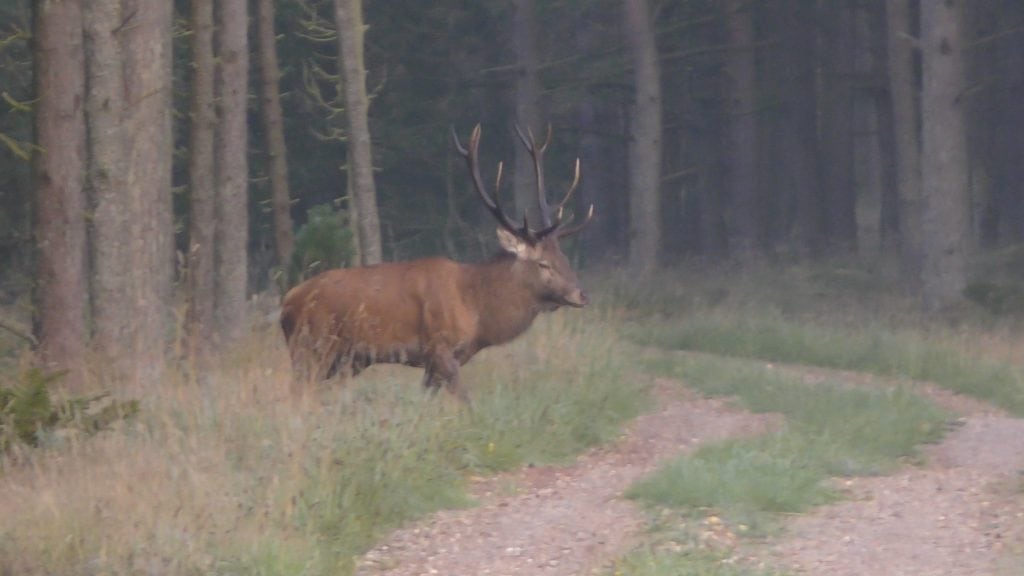 TANDSNIT OG U-SIKKERHED 1 TANDSNIT OG U-SIKKERHED 1