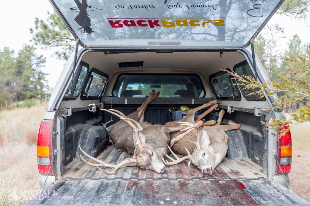 VIDEO: Sådan tager du skindet af dyret MG 1564