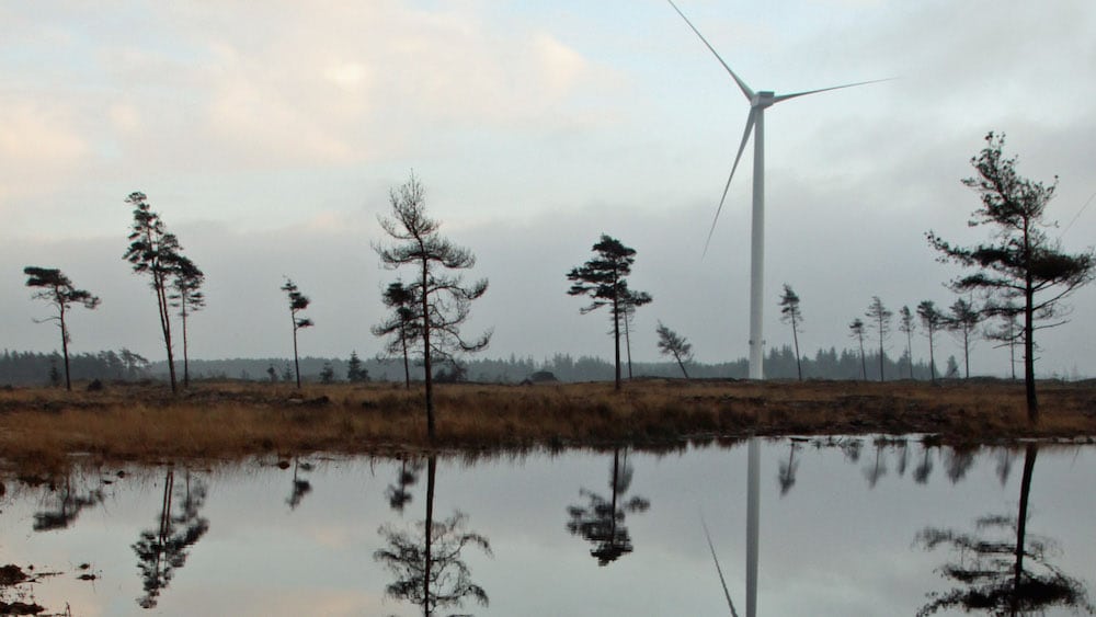 Fugle undviger testcenterets vindmøller oesterild nstimg 8412