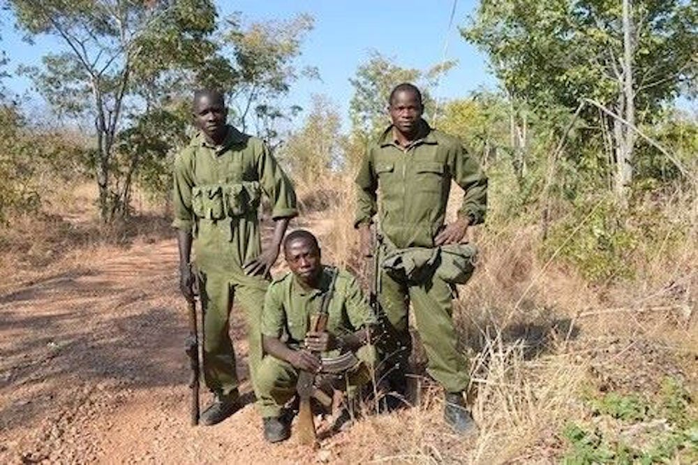 Zimbabwe: Travlhed for anti-krybskytte-rangers Zimbabwe: Travlhed for anti-krybskytte-rangers