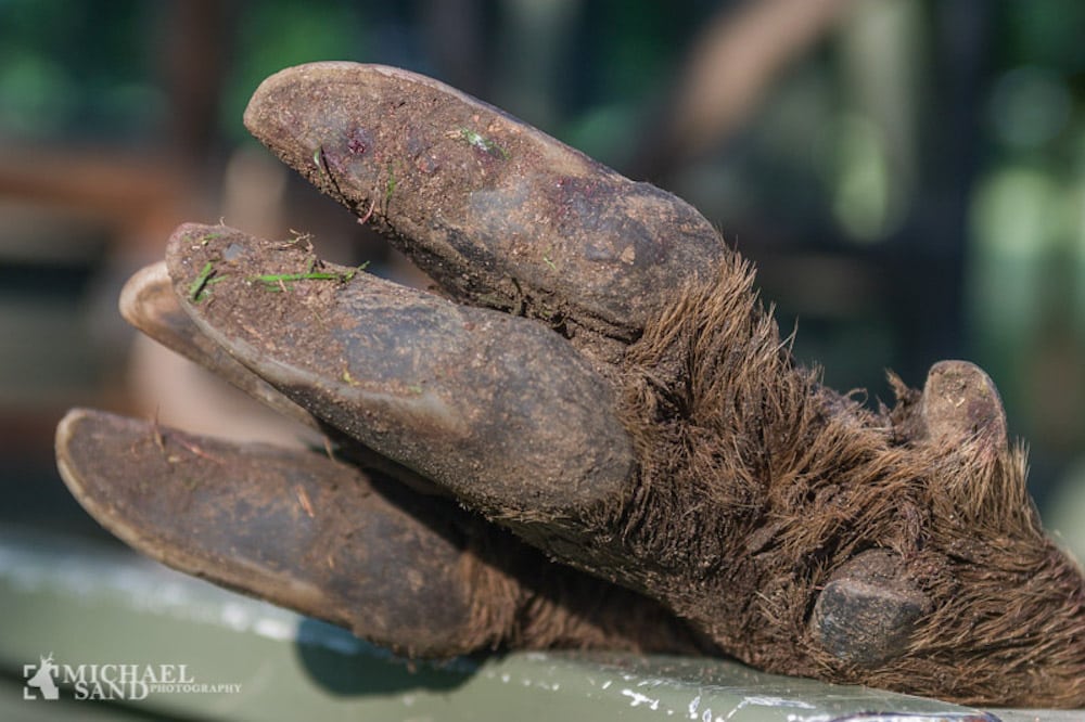 JJLL: Sankekort til jægere