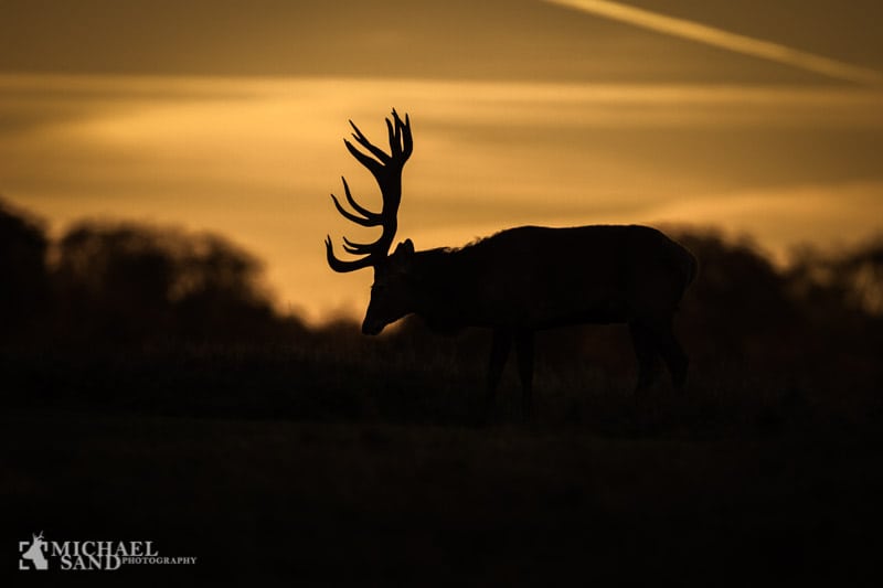 Hans Kongelige Højhed Prins Henrik er afgået ved døden