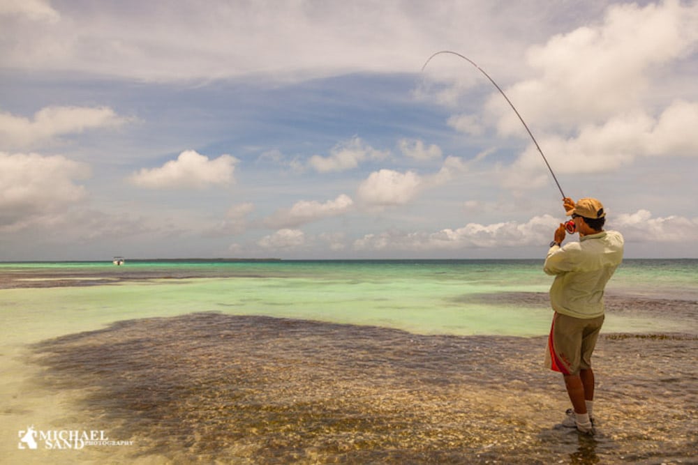 Cuba er endnu et komplekst fiskeparadis Cuba er endnu et komplekst fiskeparadis