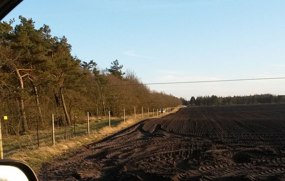 Vildtsikre el-hegn breder sig i kronvildtområder