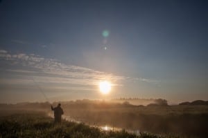 En perfekt aften med fluen Kun en fisk