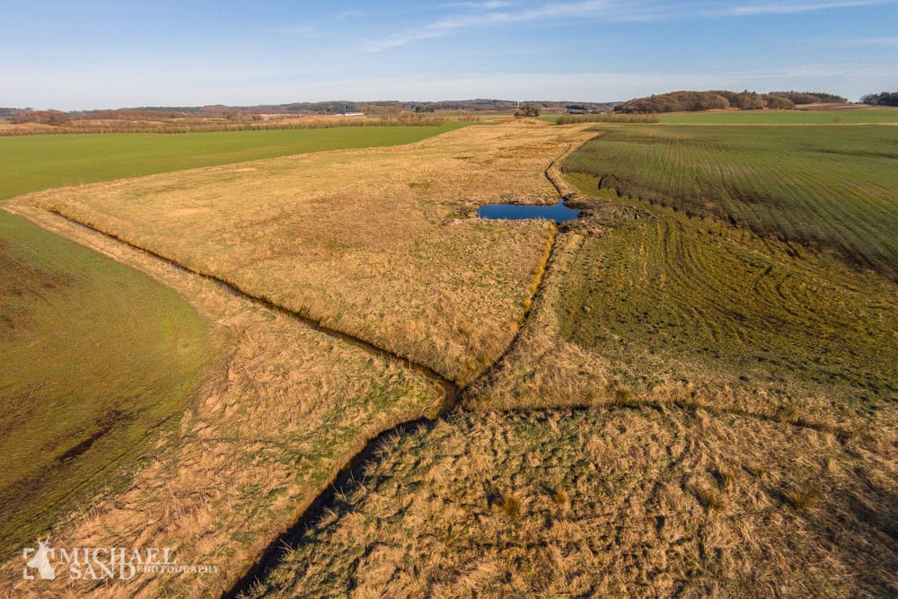 Drænet landbrugsjord bliver til ny natur
