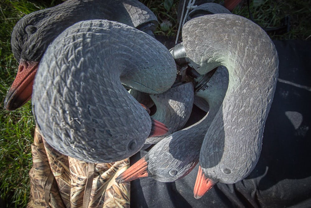 Adaptiv vildtforvaltning – eller sund fornuft? adaptiv forvaltning