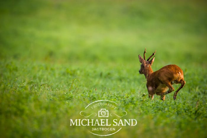 Danmarks Jægerforbunds medlemmers delegerede sagde med et stort flertal ja til Jagtens Hus på et ekstraordinært repræsentantskabsmøde afholdt i Fredericia ...