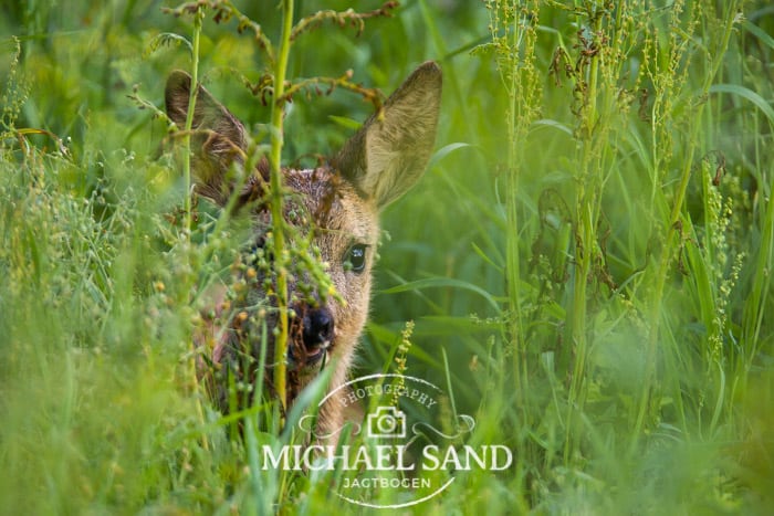 Døden under knivene - høslæt