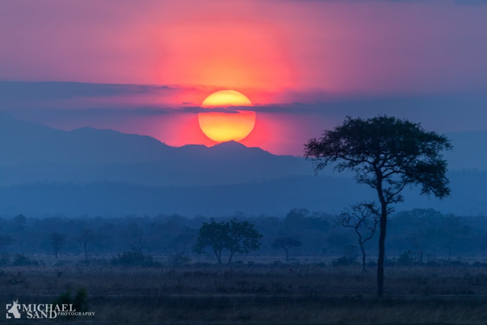 Tre parkbetjente dræbt af krybskytter Sunset