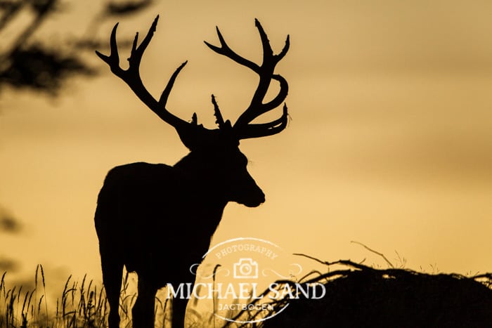 Hjortegruppens syn på dannelse af laug og private jagtrettigheder Hjortegruppe copy