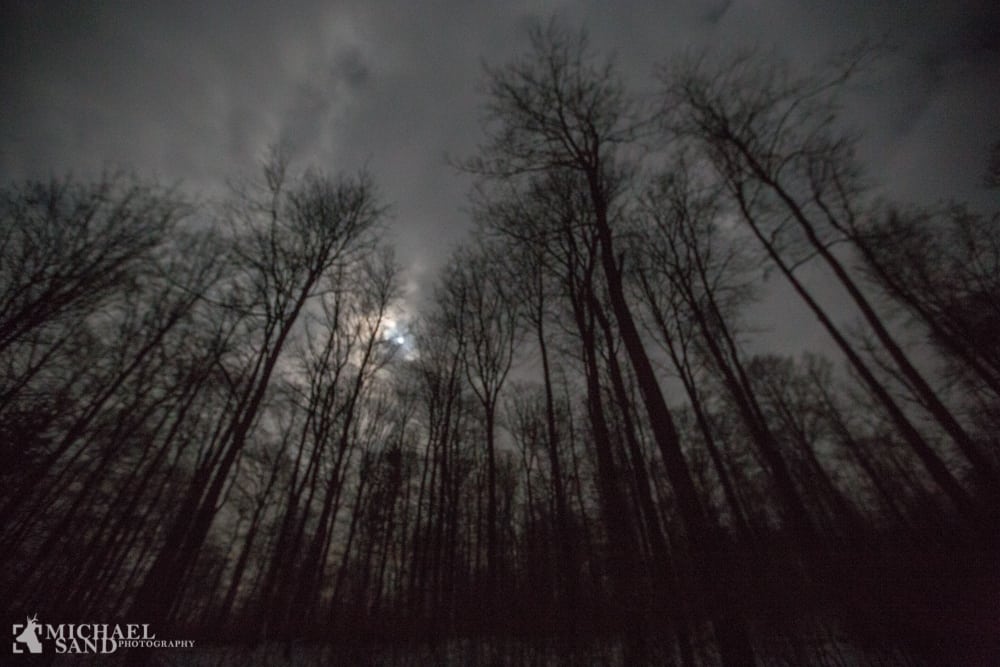 Må natsigte anvendes til videooptagelse om dagen