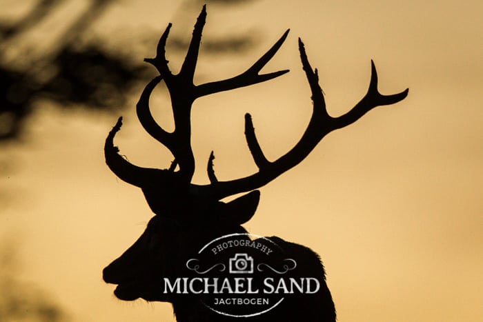 DJ på grov slingerkurs Slingrekurs