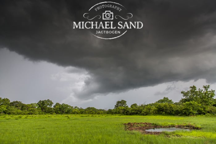 SCI: KLIK og send flyselskaberne et brev